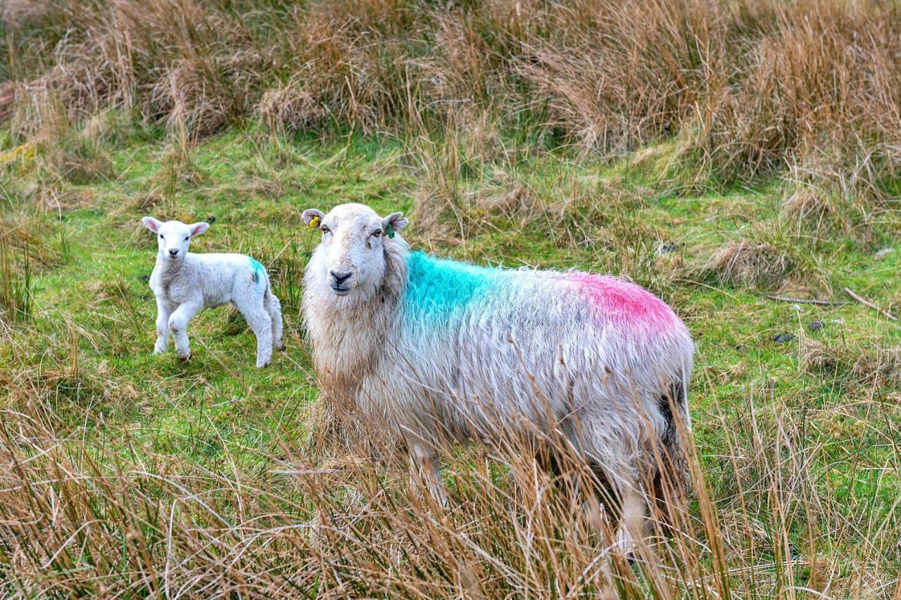 Finest Retreats - Maes Neuadd Blaenau Ffestiniog Dış mekan fotoğraf